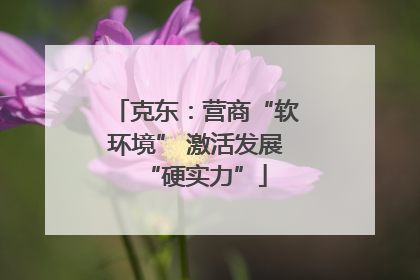 克东：营商“软环境” 激活发展“硬实力”