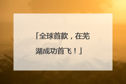 全球首款，在芜湖成功首飞！