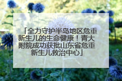 全力守护半岛地区危重新生儿的生命健康！青大附院成功获批山东省危重新生儿救治中心