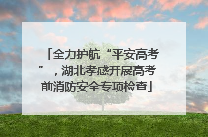 全力护航“平安高考”，湖北孝感开展高考前消防安全专项检查