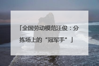 全国劳动模范汪俊：分拣场上的“冠军手”