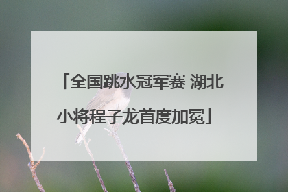 全国跳水冠军赛 湖北小将程子龙首度加冕