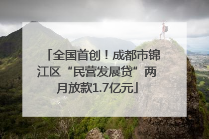 全国首创！成都市锦江区“民营发展贷”两月放款1.7亿元