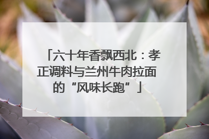 六十年香飘西北：孝正调料与兰州牛肉拉面的“风味长跑”