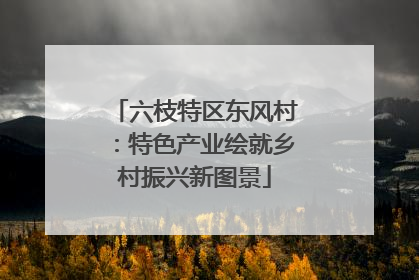 六枝特区东风村：特色产业绘就乡村振兴新图景