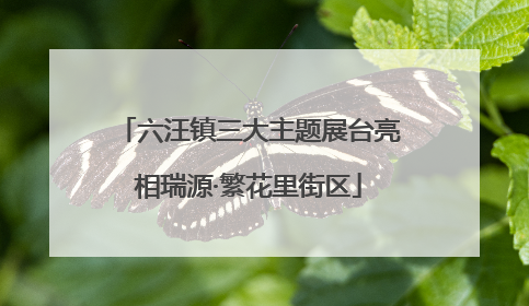 六汪镇三大主题展台亮相瑞源·繁花里街区