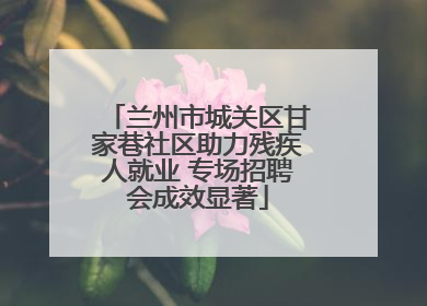 兰州市城关区甘家巷社区助力残疾人就业 专场招聘会成效显著