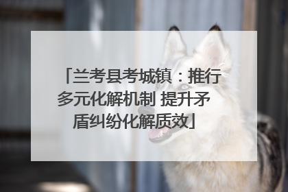 兰考县考城镇：推行多元化解机制 提升矛盾纠纷化解质效