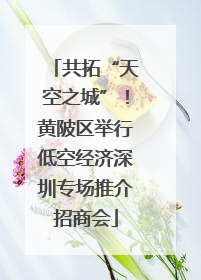 共拓“天空之城”！黄陂区举行低空经济深圳专场推介招商会