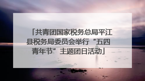 共青团国家税务总局平江县税务局委员会举行“五四青年节”主题团日活动