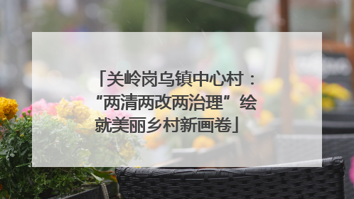 关岭岗乌镇中心村：“两清两改两治理”绘就美丽乡村新画卷