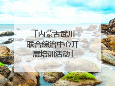 内蒙古武川：联合综治中心开展培训活动