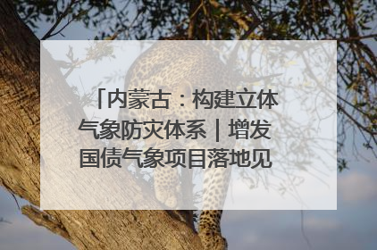 内蒙古：构建立体气象防灾体系｜增发国债气象项目落地见效系列报道