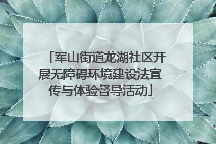 军山街道龙湖社区开展无障碍环境建设法宣传与体验督导活动