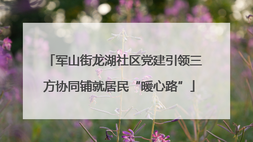 军山街龙湖社区党建引领三方协同铺就居民“暖心路”