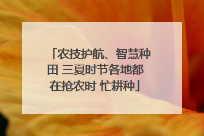 农技护航、智慧种田 三夏时节各地都在抢农时 忙耕种