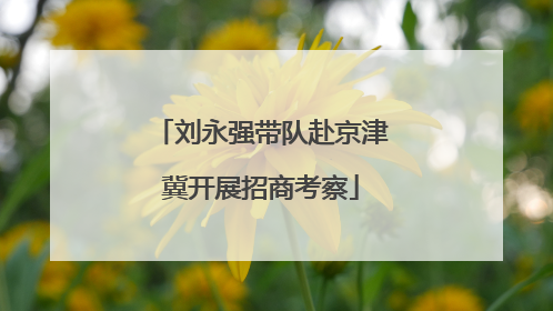 刘永强带队赴京津冀开展招商考察