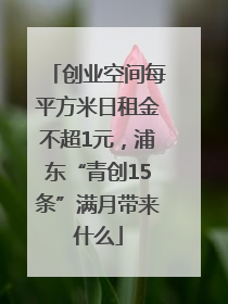 创业空间每平方米日租金不超1元，浦东“青创15条”满月带来什么