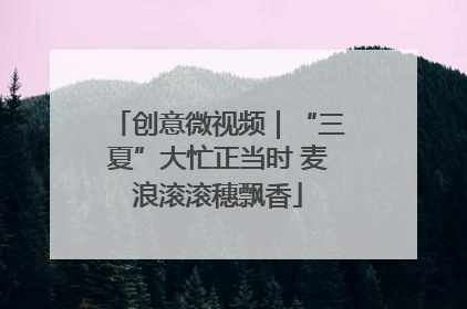 创意微视频｜“三夏”大忙正当时 麦浪滚滚穗飘香