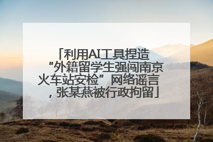 利用AI工具捏造 “外籍留学生强闯南京火车站安检”网络谣言，张某燕被行政拘留