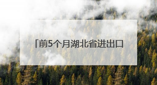 前5个月湖北省进出口同比增长26.9%
