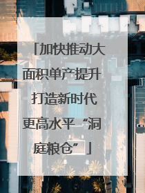 加快推动大面积单产提升 打造新时代更高水平“洞庭粮仓”