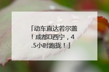 动车直达若尔盖！成都⇄西宁，4.5小时跑拢！