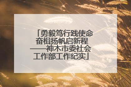 勇毅笃行践使命 奋楫扬帆启新程——神木市委社会工作部工作纪实