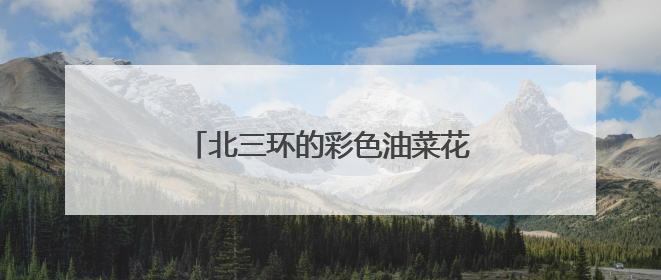 北三环的彩色油菜花开了，就在朝阳安贞