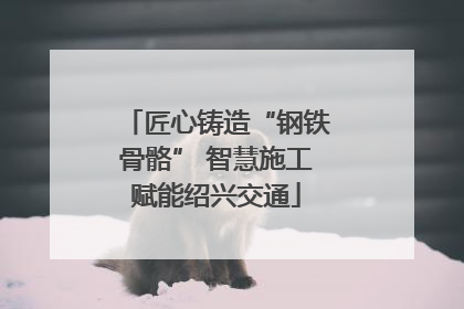 匠心铸造“钢铁骨骼” 智慧施工赋能绍兴交通