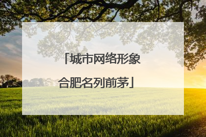 城市网络形象合肥名列前茅