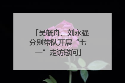 吴毓舟、刘永强分别带队开展“七一”走访慰问