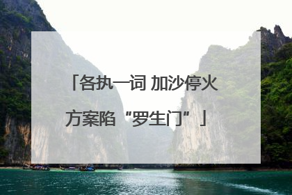 各执一词 加沙停火方案陷“罗生门”