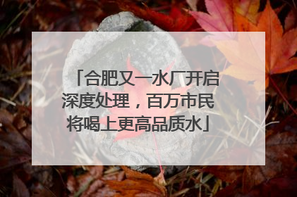合肥又一水厂开启深度处理，百万市民将喝上更高品质水