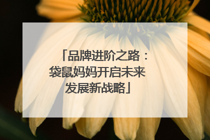 品牌进阶之路：袋鼠妈妈开启未来发展新战略