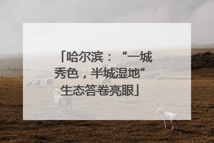 哈尔滨：“一城秀色，半城湿地”生态答卷亮眼