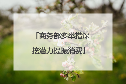 商务部多举措深挖潜力提振消费
