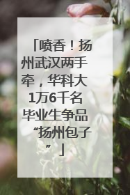 喷香！扬州武汉两手牵，华科大1万6千名毕业生争品“扬州包子”