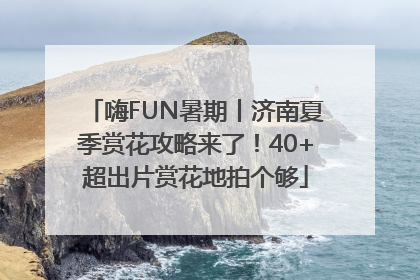 嗨FUN暑期丨济南夏季赏花攻略来了！40+超出片赏花地拍个够