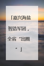 嘉兴海盐智造军团，全省“出圈”