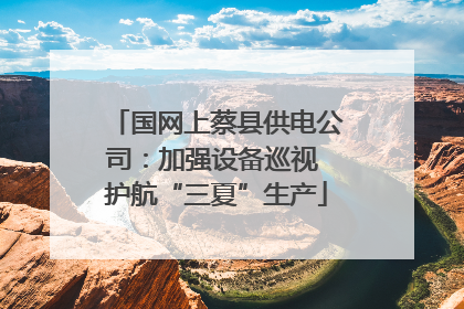 国网上蔡县供电公司：加强设备巡视 护航“三夏”生产