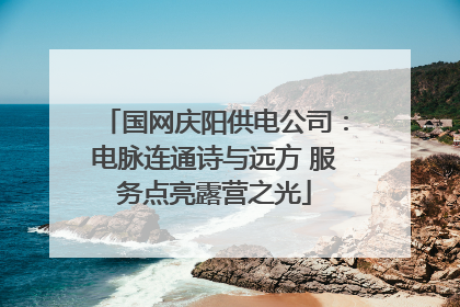 国网庆阳供电公司：电脉连通诗与远方 服务点亮露营之光