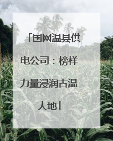 国网温县供电公司：榜样力量浸润古温大地