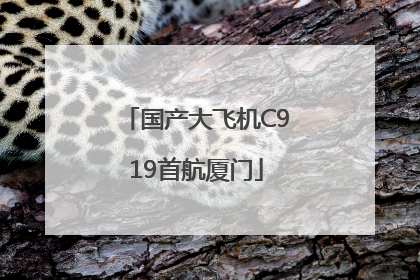 国产大飞机C919首航厦门