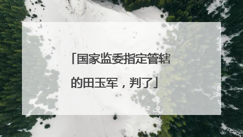 国家监委指定管辖的田玉军，判了