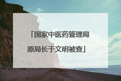 国家中医药管理局原局长于文明被查