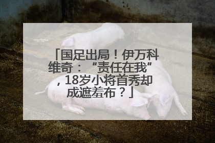 国足出局！伊万科维奇：“责任在我”，18岁小将首秀却成遮羞布？