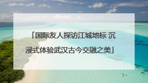 国际友人探访江城地标 沉浸式体验武汉古今交融之美