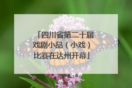四川省第二十届戏剧小品（小戏）比赛在达州开幕
