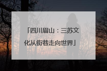 四川眉山：三苏文化从街巷走向世界